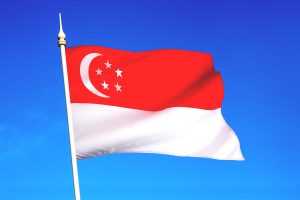 Singapore Study Fellowships
